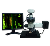 明暗場金相檢測顯微鏡